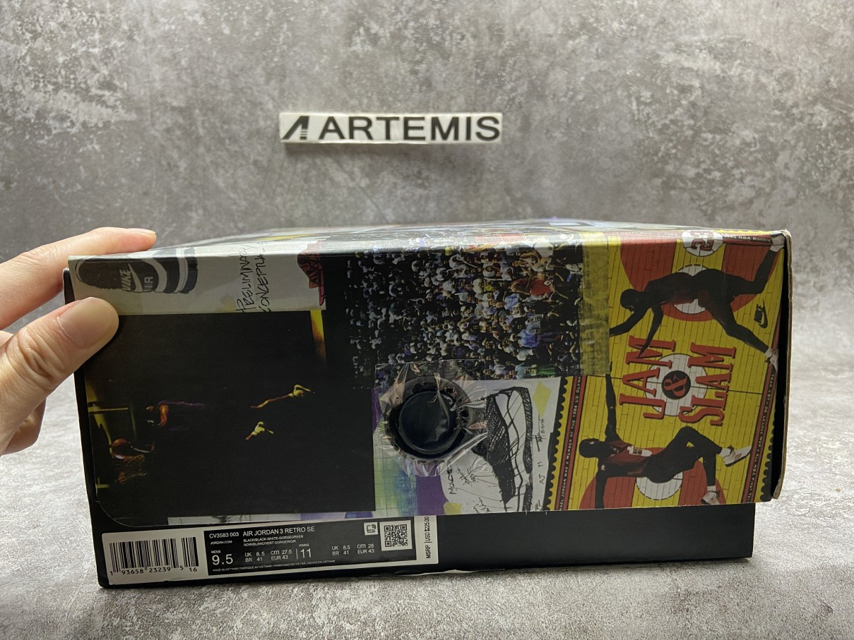 Air Jordan 3 Retro SE Animal Instinct 2.0