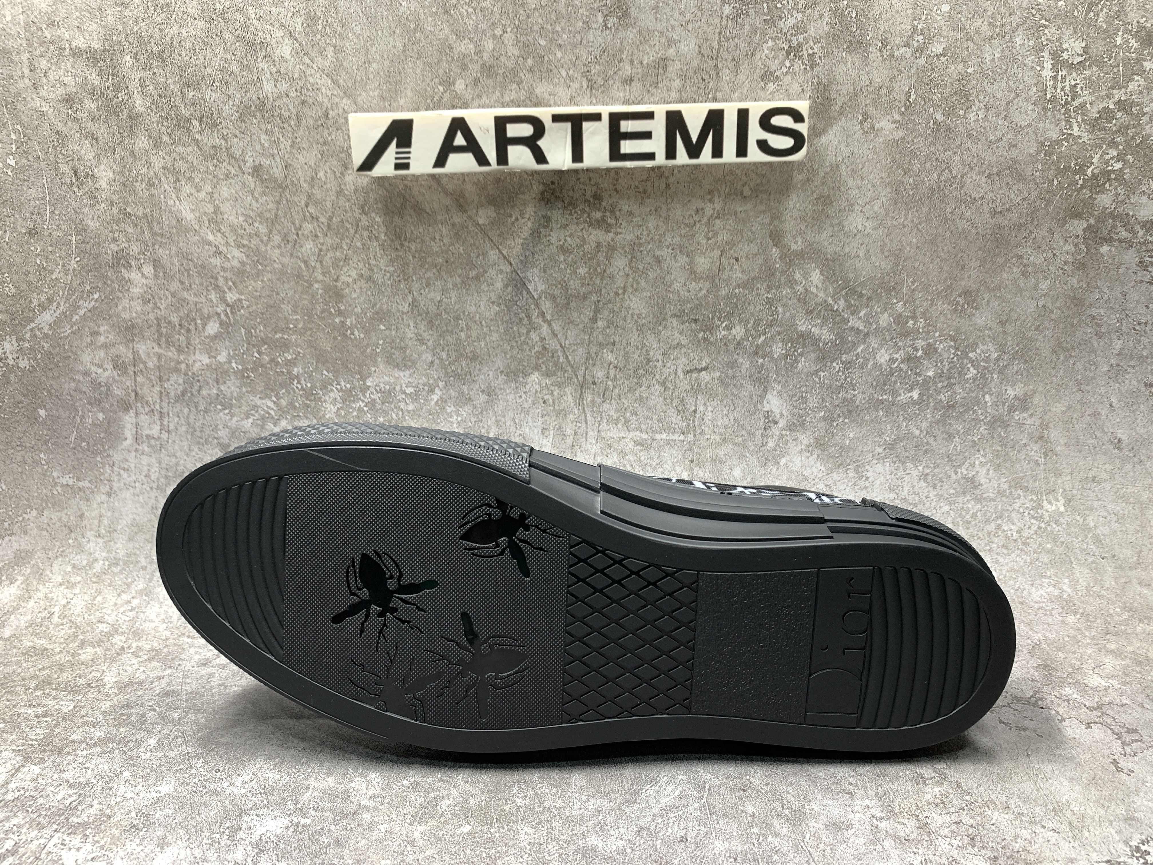 D*or b23 low top canvas oblique black